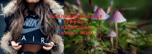 прущая мука Баксан