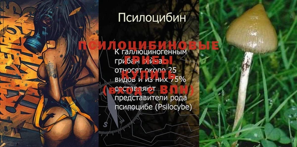 прущий лед Белокуриха