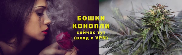 шишки Беломорск