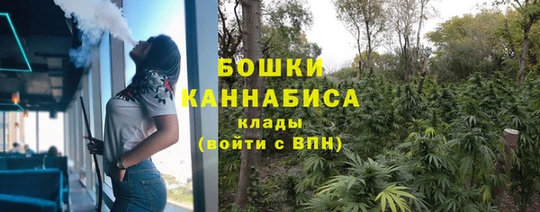 шишки Беломорск