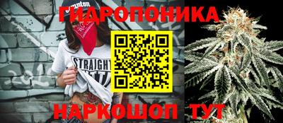 твердый Шебекино