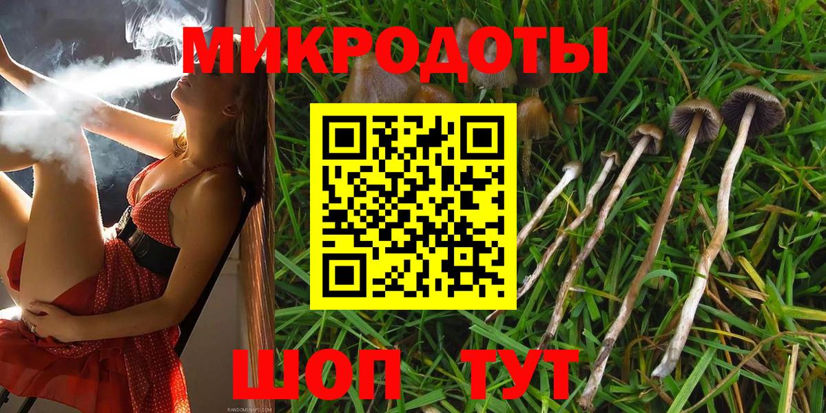 Галлюциногенные грибы MAGIC MUSHROOMS  Вход с VPN  Печора 